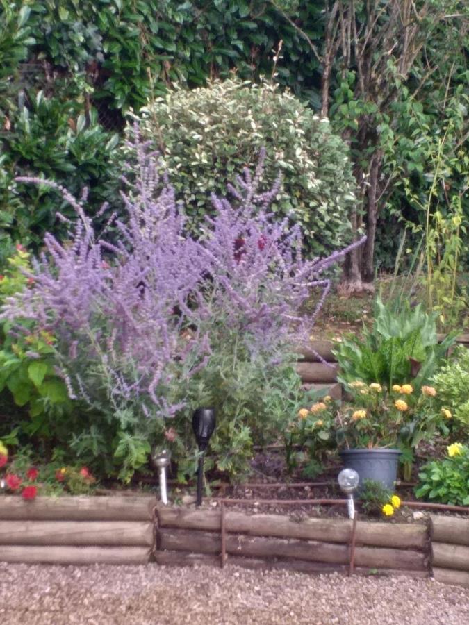 Le Jardin De Josseline Ξενοδοχείο Αμπουάζ Εξωτερικό φωτογραφία